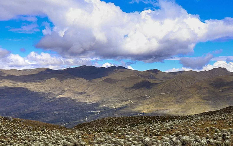 Paramo-de-Sumapaz. Colombia