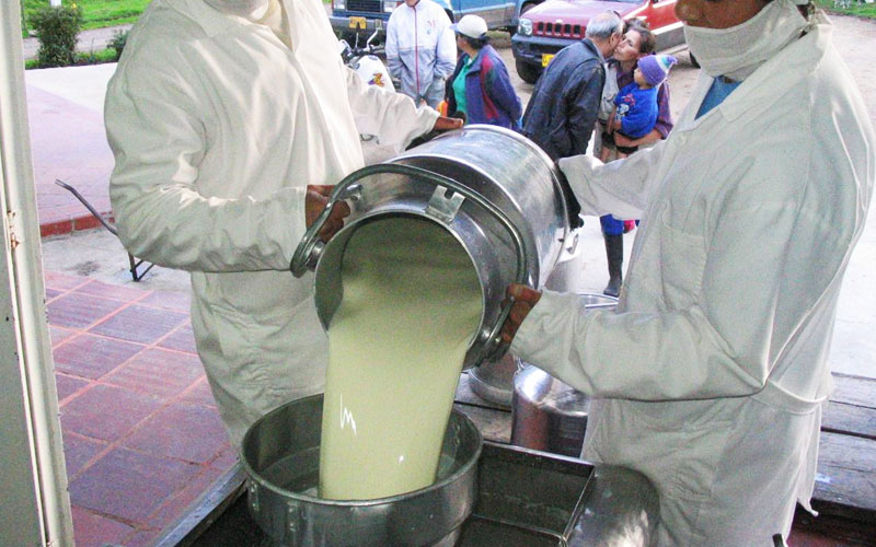 Cundinamarca fortalece con millonarios recursos en el sector lechero