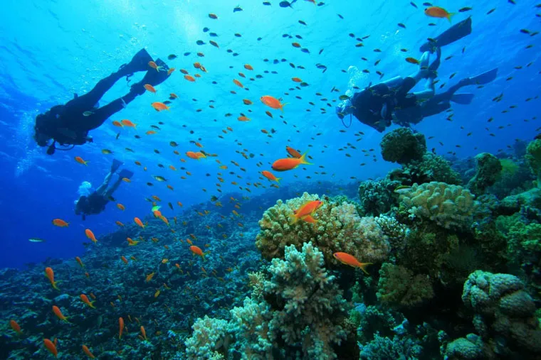 Diving on the reefs of Gorgona Island.