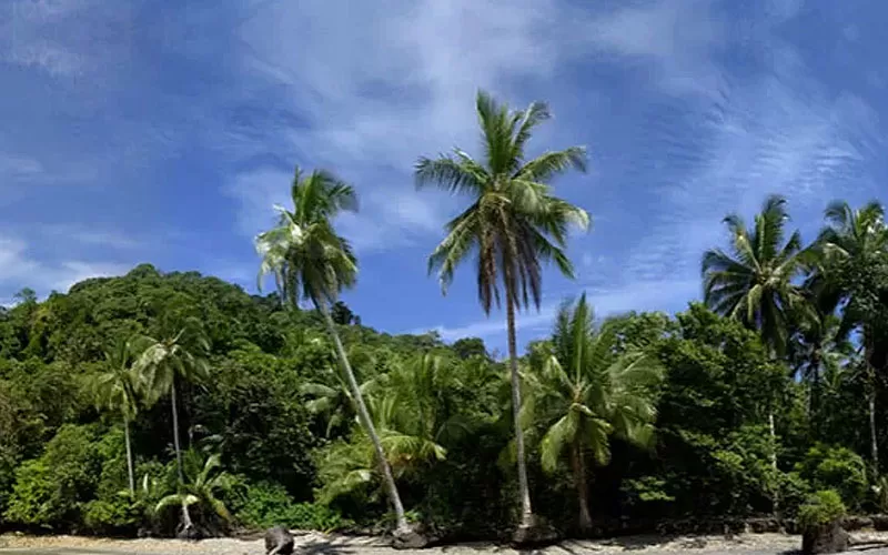 Parque Nacional Natural Isla Gorgona.